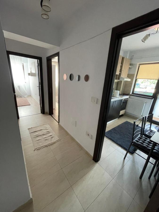 The Mirror - Quiet & Friendly Place In Copou Apartment ยาช ภายนอก รูปภาพ